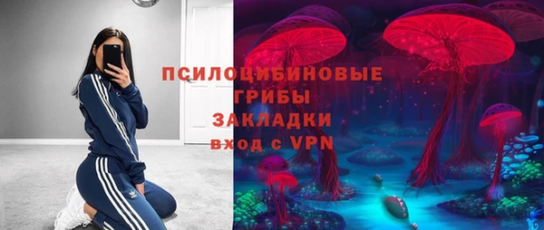 PSILOCYBIN Армянск
