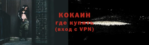 spice Покачи