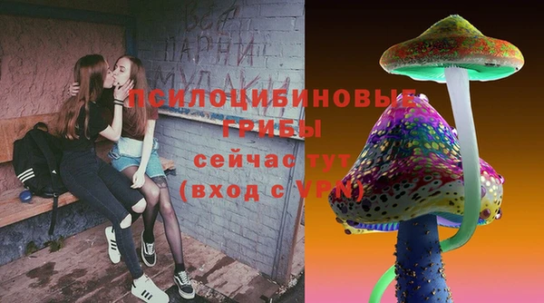 ECSTASY Аркадак