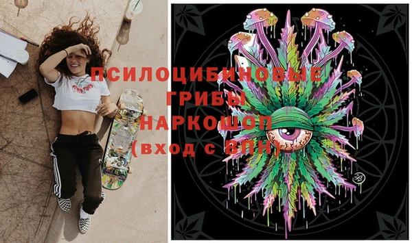 PSILOCYBIN Армянск